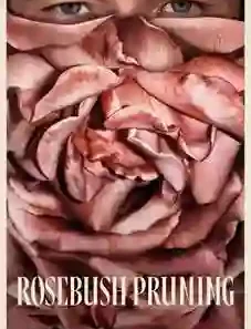 Rosebush Pruning 2026